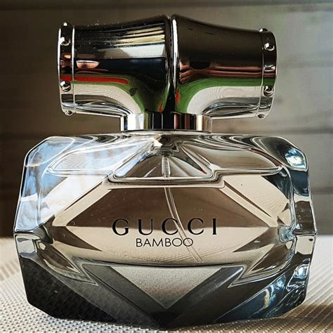 gucci absolute fragrantica|fragrantica gucci bamboo.